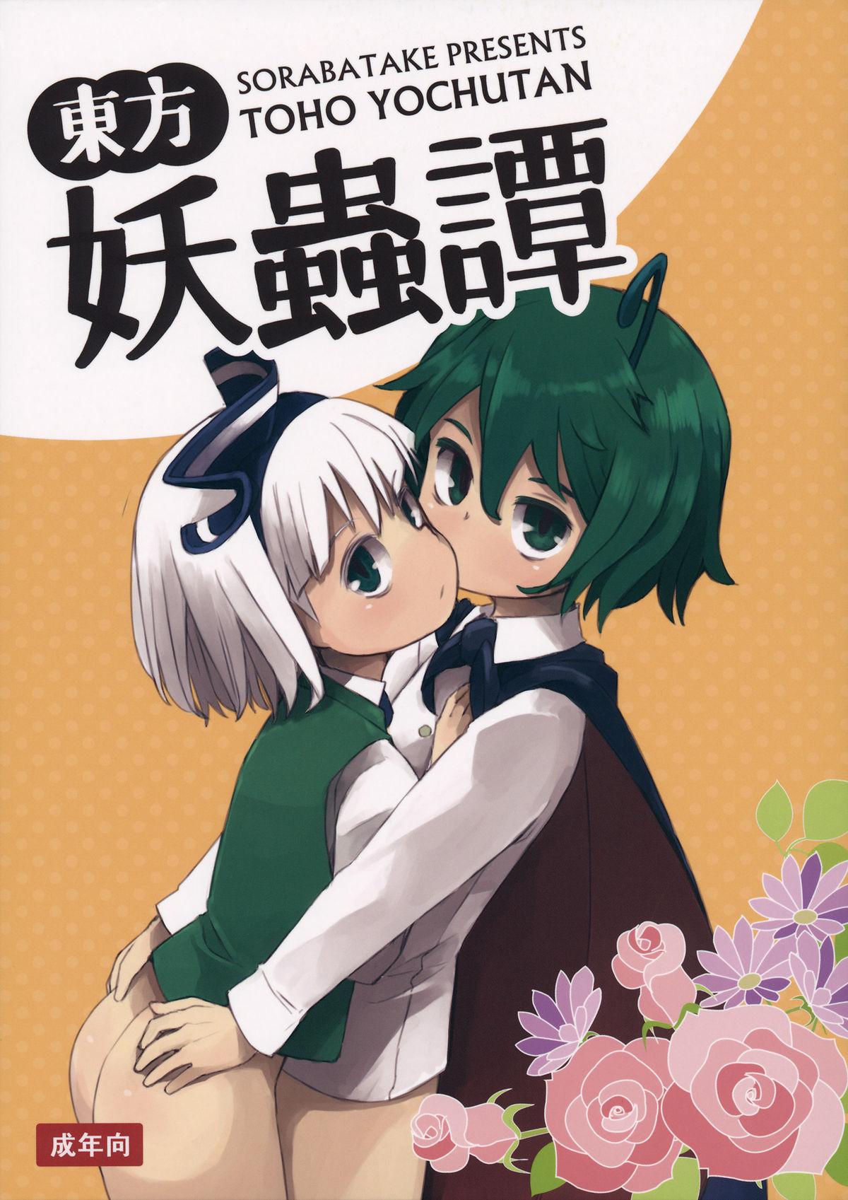 C89 そらばたけ Di 东方妖虫谭 东方Project 中国翻訳