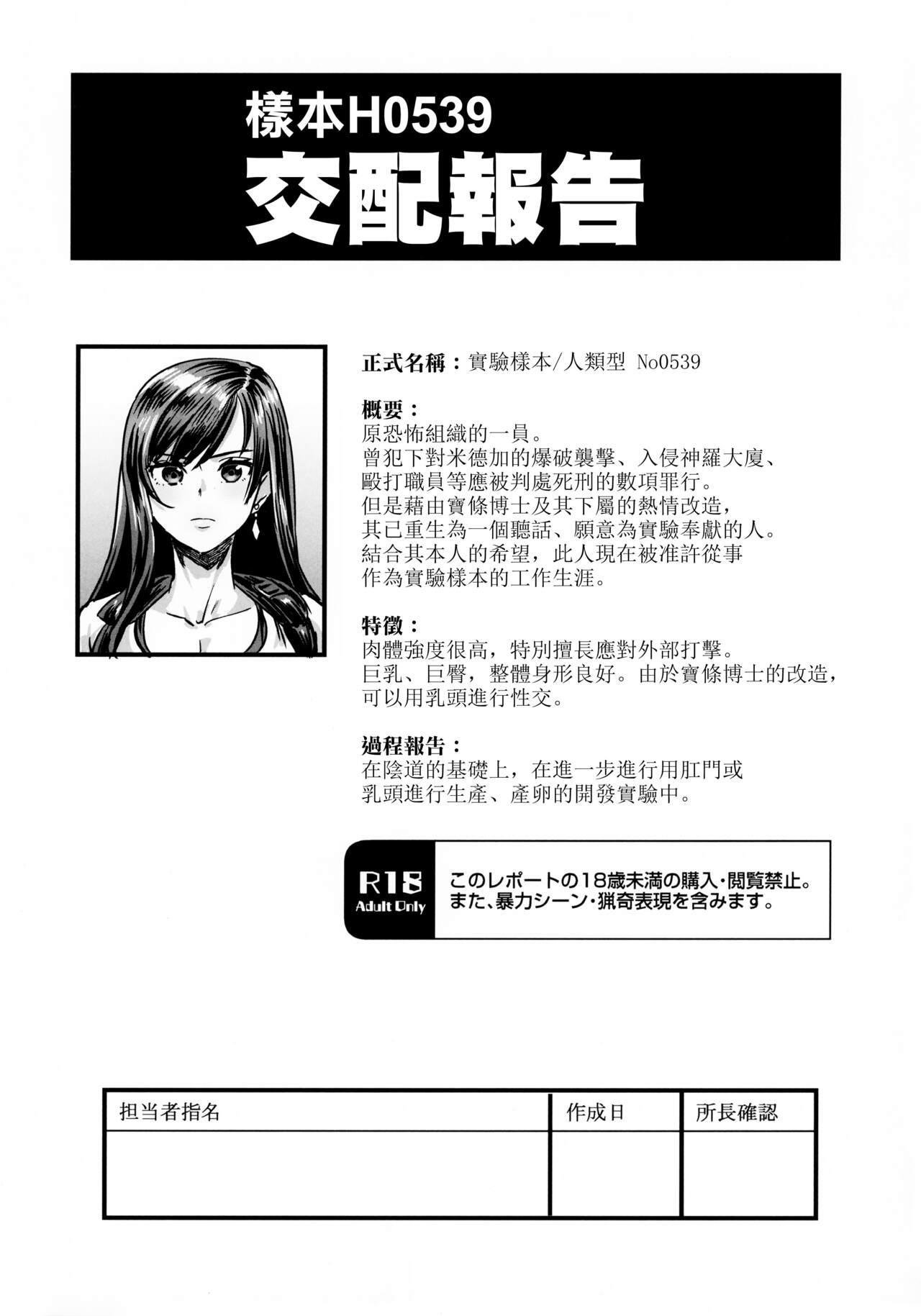 C99 OVing おぶい サンプルH0539 交配レポート ファイナルファンタジーVII 中国翻訳