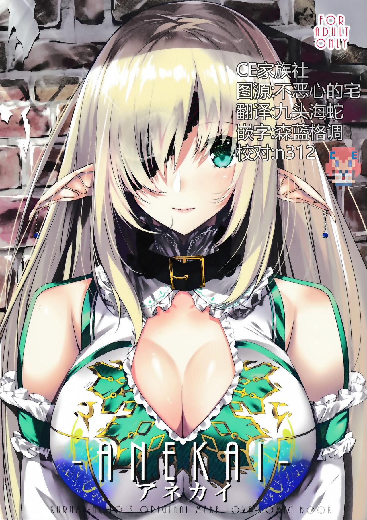 C92 甘泉少女 能都くるみ ANEKAI アネカイ 中国翻訳